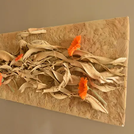 Cozy In - Grand-halleux *